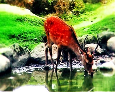 Mythologies 2005-2007