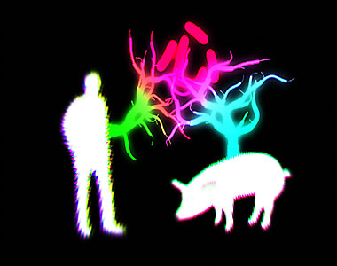 Three Times True in&nbsp;London