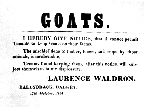 The incalculable mischief of&nbsp;goats