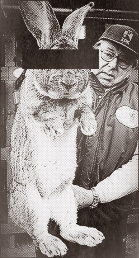 EBERSWALDE, GERMANY - JANUARY 15: Pensioner Karl Szmolinsky, who raises a breed of rabbits called giant grays, shows Robert, an 8.5kg giant grey who is 74cm long and has ears 25.5cm long, in the backyard of his house on January 15, 2006 in Eberswalde, Germany. In November Szmolinsky sold eight giant greys to a delegation from North Korea, whom he said want to raise the breed as a source of meat for the North Korean population. Szmolinsky said his rabbits reach a maximum weight of 10.5 kg (23.1lbs.). (Photo by Sean Gallup/Getty Images) 