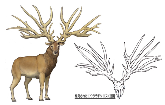 ARTBOLLOCKS THEATRE: FEMININITY