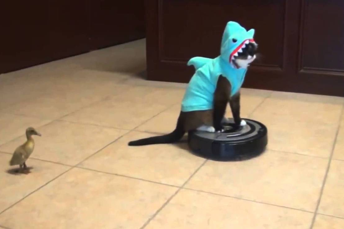 TWO LESSONS FROM ‘YOUTUBE FOR THE&nbsp;ARTS’