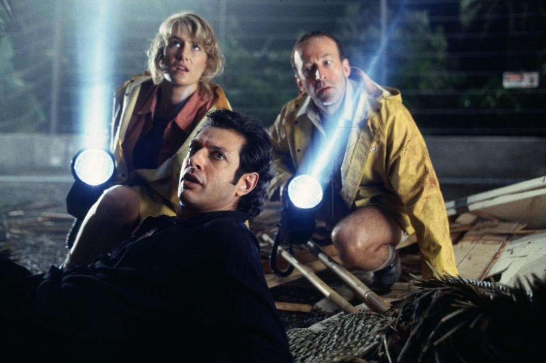 JEFF GOLDBLUM SAID: A PARABLE FOR&nbsp;ARTISTS