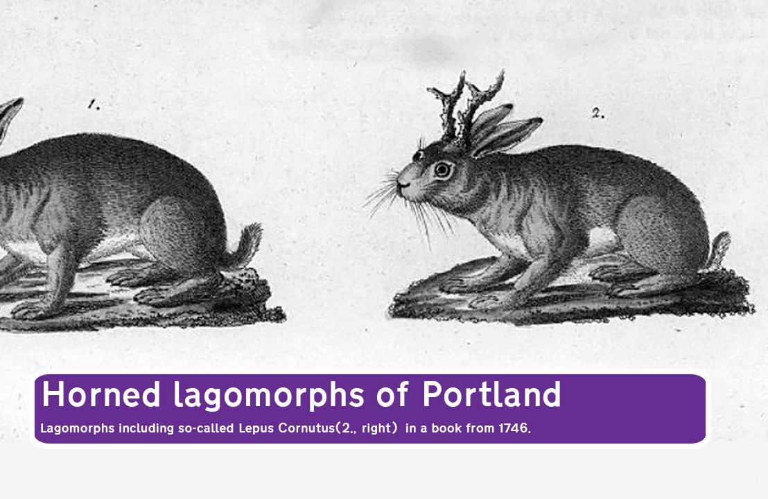 The Portland Office for Imaginary&nbsp;History