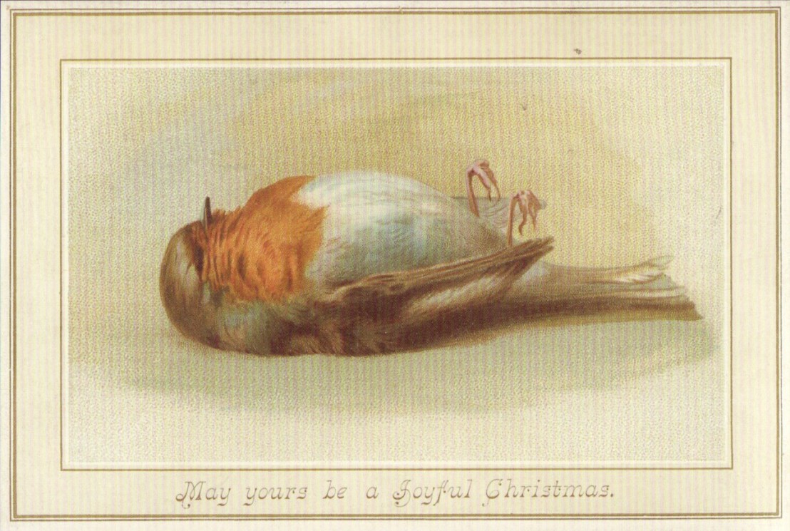 deadrobinchristmascard