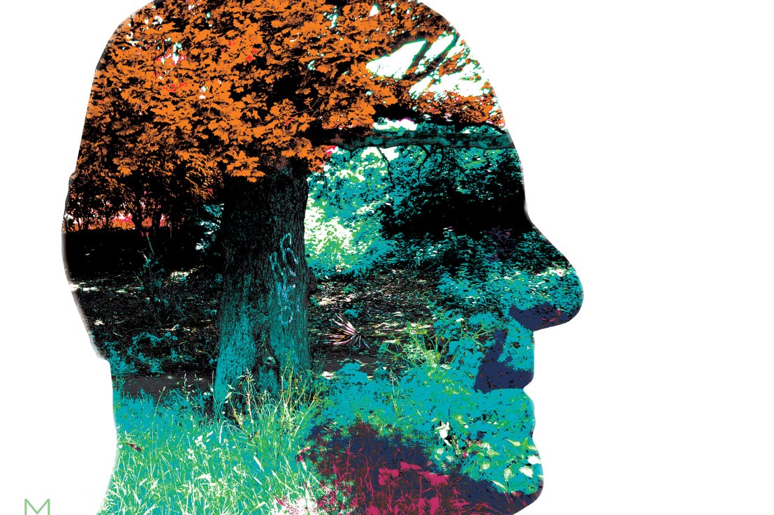 The Garden of Remember in the App&nbsp;Store