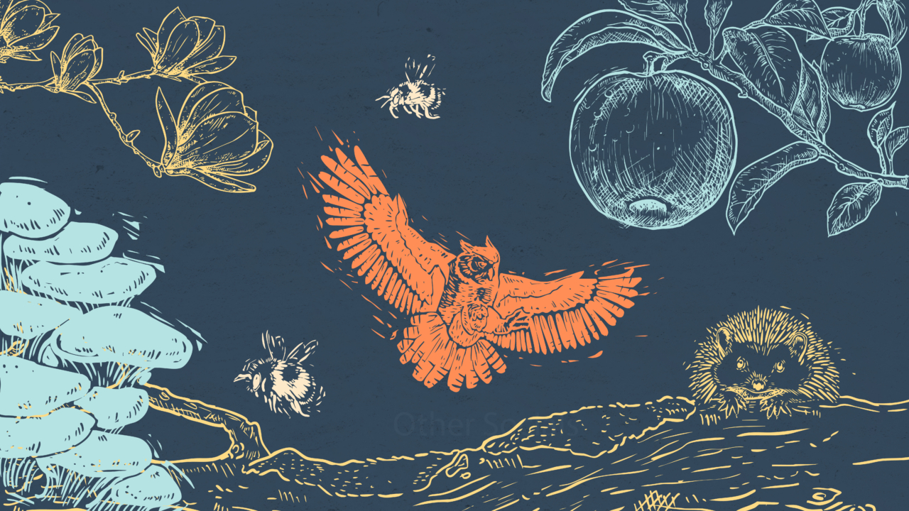 Woodcut type illustration on a muted dark blue background, with a flying owl in bright orange, bees, a hedgehog, an apple on a branch, and a cluster of mushrooms.