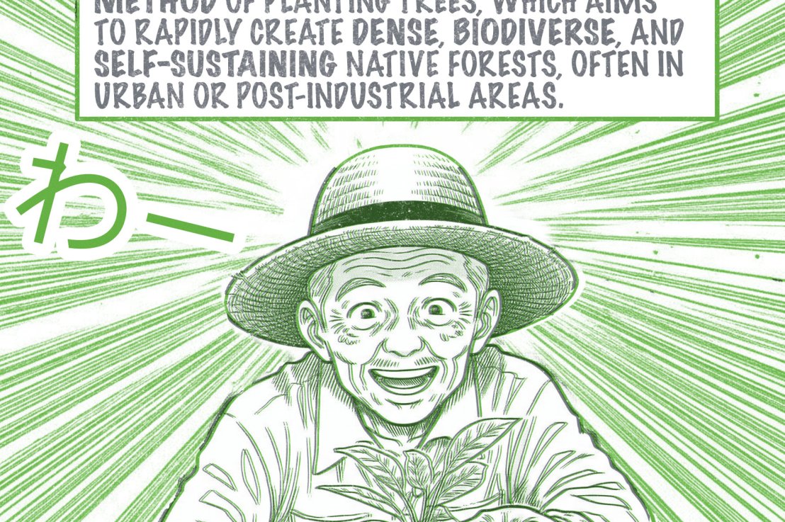 Coalville Micro-Festivals 2025